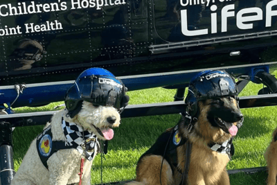 Crisis Canines_Training