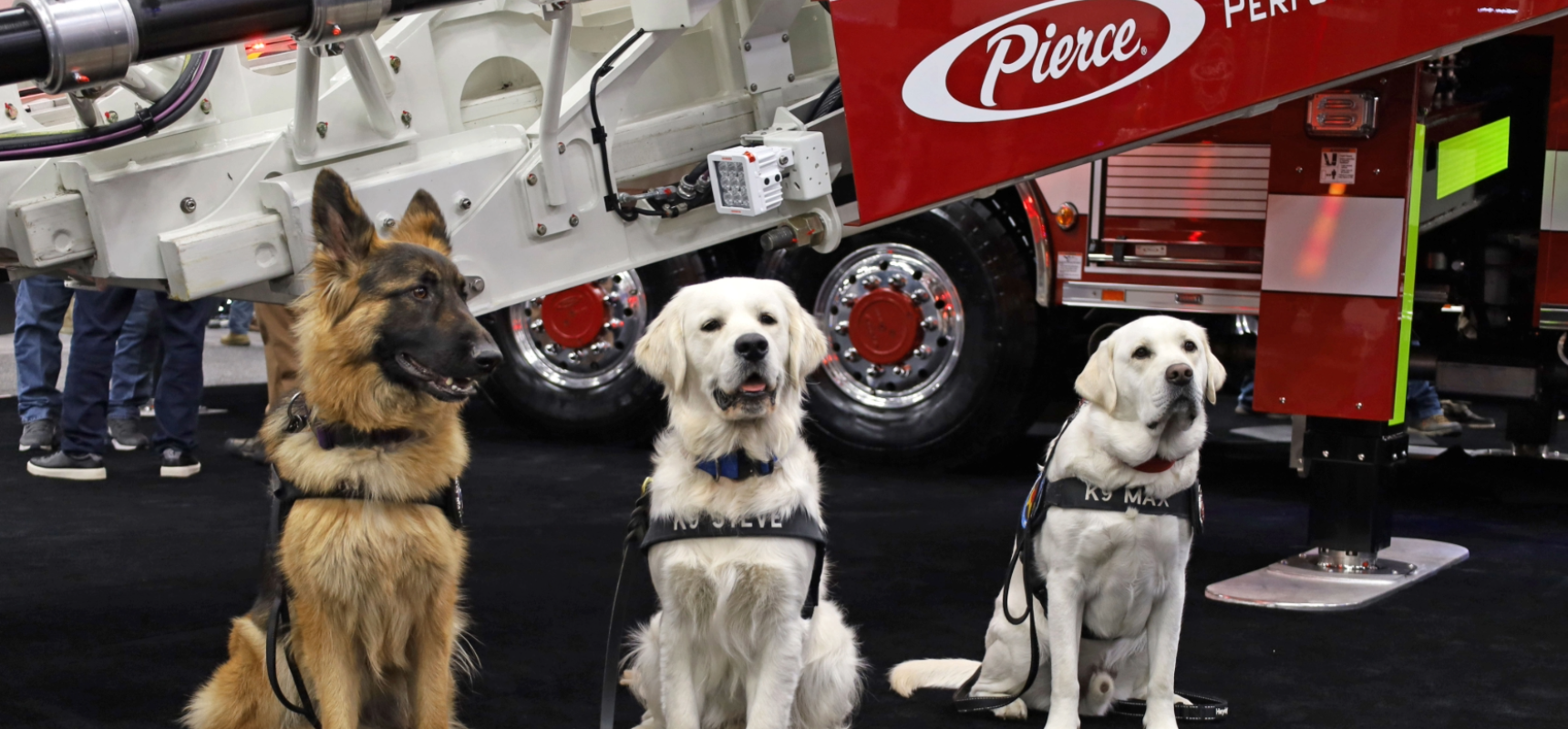 FDIC Crisis Canines_banner