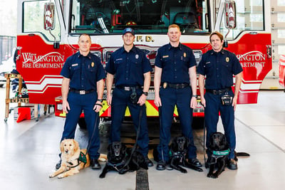 Four firefighters in blue uniform standing in front of a red fire truck with 4 dogs at their feet.