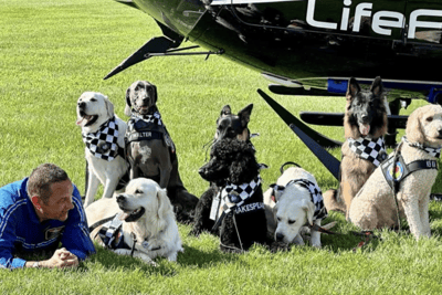 Team K9 Academy