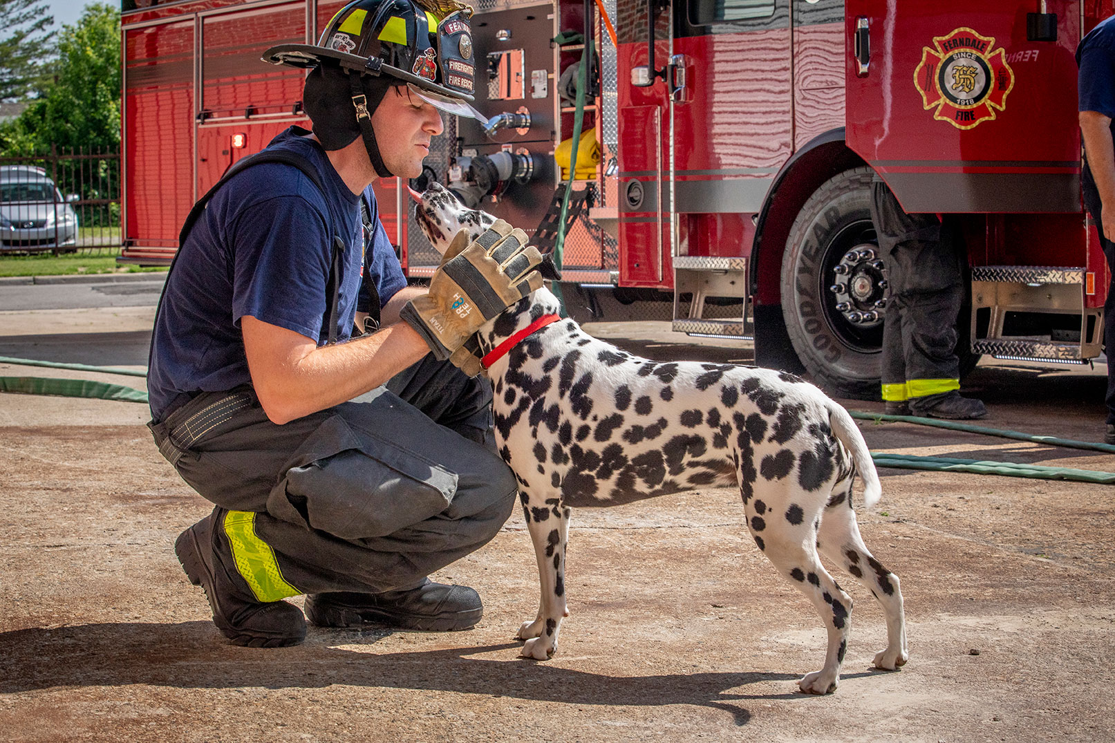 A firefighter in turnout gear petting a dalmation on the officers side of a fire truck.